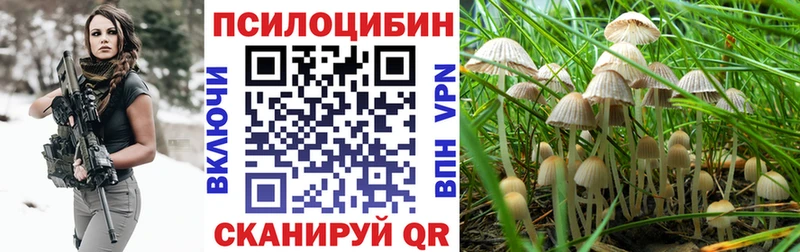 Псилоцибиновые грибы Magic Shrooms  блэк спрут зеркало  Динская  закладка 